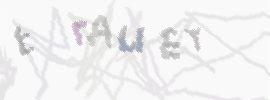 CAPTCHA-Bild zum Spam-Schutz 